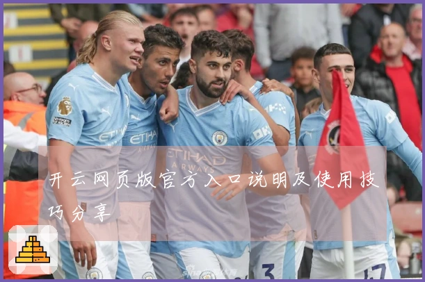 开云网页版官方入口说明及使用技巧分享