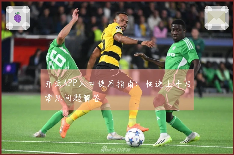 开云APP入口使用指南：快速上手与常见问题解答