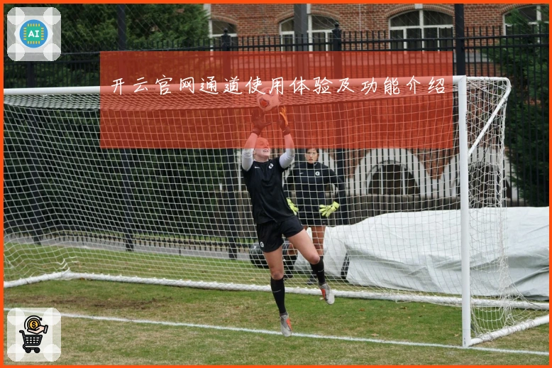开云官网通道使用体验及功能介绍