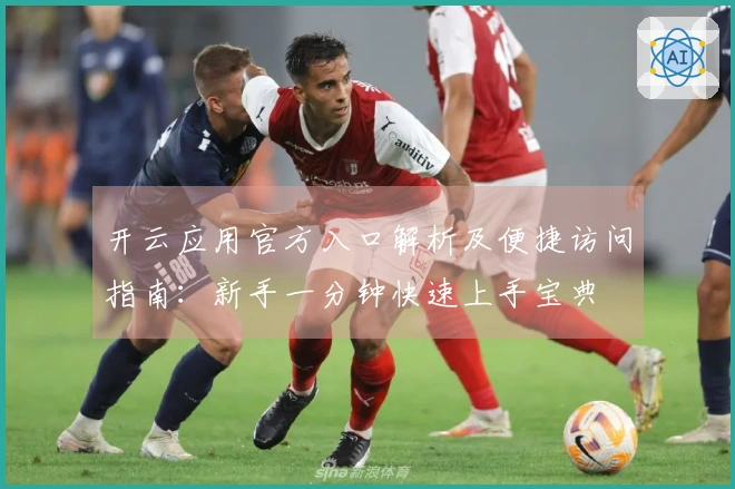 开云应用官方入口解析及便捷访问指南：新手一分钟快速上手宝典